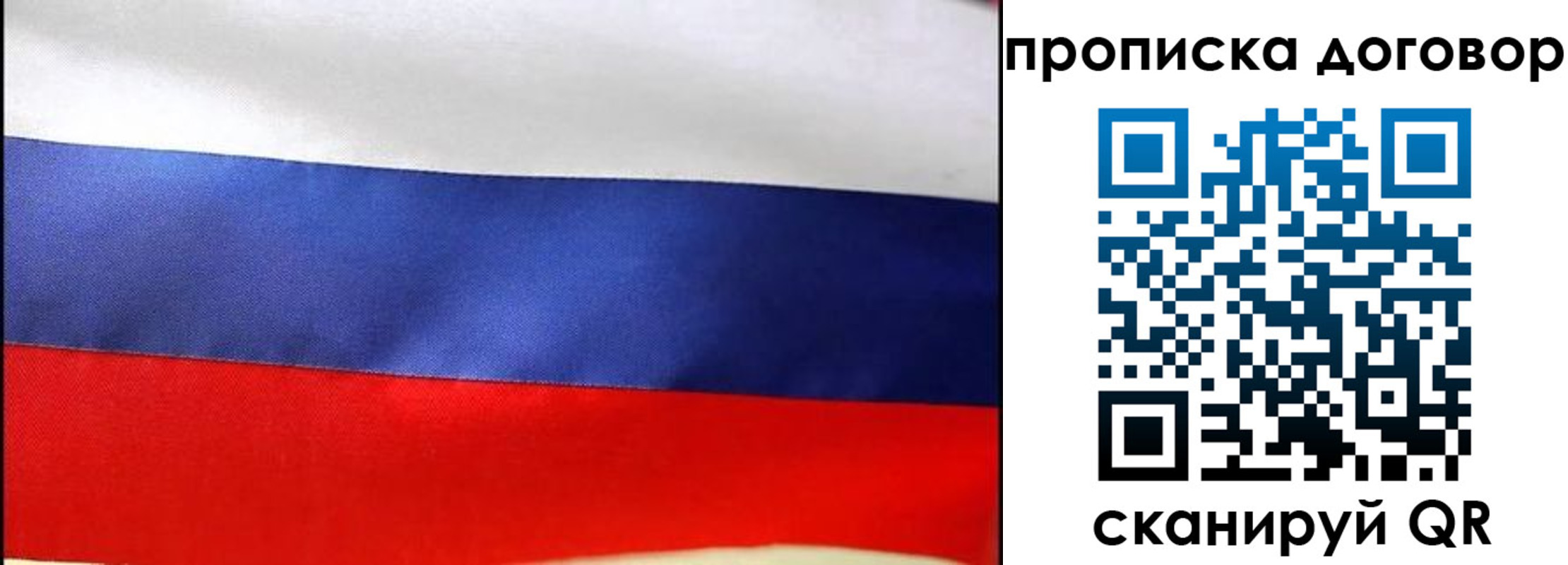 прописка гарантия в Эртили